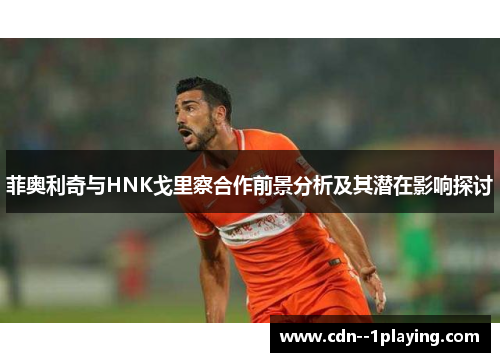 菲奥利奇与HNK戈里察合作前景分析及其潜在影响探讨